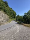 IMG_8954.jpeg
