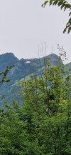 IMG-20240629-WA0007.jpg