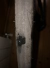 IMG_8984.jpeg