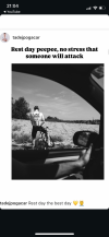 IMG_6161.png