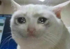 1721115322547.png