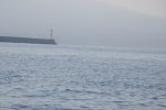 IMG_8268.JPG