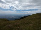 IMG_20220710_125321.jpg