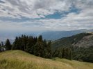 IMG_20220710_130722.jpg