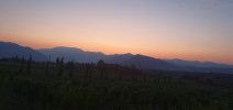 20240721_053400.jpg 20240721_053400.jpg