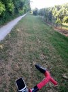 IMG_20240808_084317246.jpg