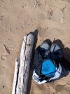 IMG_20240808_100845402.jpg