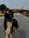 IMG_2460.jpeg
