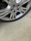 IMG_2490.jpeg