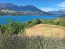 20240809_165814.jpg 20240809_165814.jpg