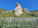 20240810_103419.jpg 20240810_103419.jpg