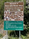 IMG_7655.jpeg