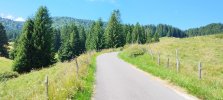 IMG_20240811_141148.jpg