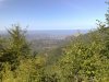 08082011293.jpg