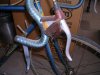 DSCN3508.jpg