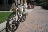 DSC01113.jpg