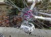 290820111559.jpg