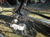 DSC00311.jpg