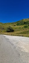IMG-20240824-WA0025.jpg