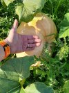 20240828_100839.jpg 20240828_100839.jpg