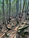 20240829_104646.jpg 20240829_104646.jpg