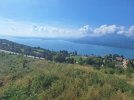 20240907_145038.jpg 20240907_145038.jpg