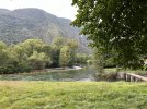 IMG_2794.jpeg