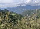 IMG_2802.jpeg