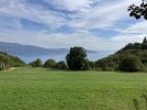 IMG_2806.jpeg