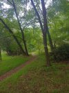 20241006_114313_HDR.jpg 20241006_114313_HDR.jpg