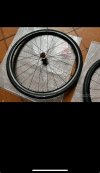 IMG_3007.jpeg