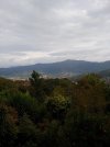 20241027_094232.jpg