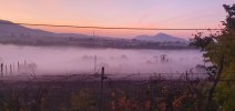 20241103_065627.jpg 20241103_065627.jpg