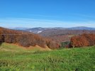 20241103_133730.jpg 20241103_133730.jpg