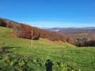 20241103_133807.jpg 20241103_133807.jpg