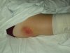 DSCN2590.jpg