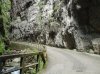 DSC04926.jpg