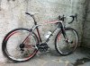 de rosa.jpg
