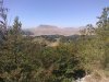 Foto0047.jpg