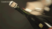 champagne-opening-champgane-bottle.gif champagne-opening-champgane-bottle.gif