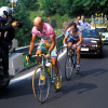 IMG_8847.png IMG_8847.png