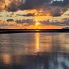 IMG_20241228_164742_635.jpg