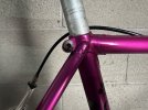 IMG_1490.jpeg