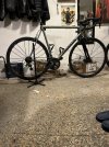 IMG_5513.jpeg