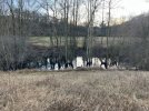 IMG_3309.jpeg
