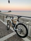 IMG_9551.jpeg
