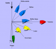 IMG_8981.png