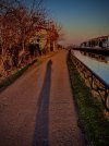 IMG_E4011.JPG