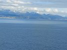 20250210_131558.jpg