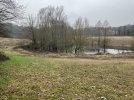 IMG_3359.jpeg